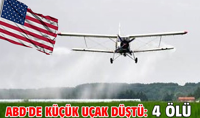 ABD'de küçük uçak düştü: 4 ölü