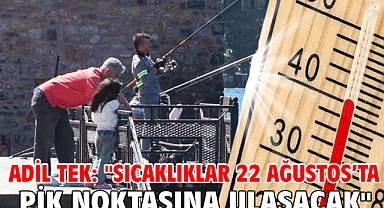 Adil Tek: