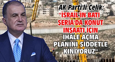 AK Parti'li Çelik: 