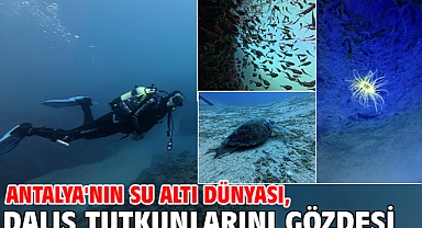 Antalya'nın su altı dünyası, dalış tutkunlarını gözdesi