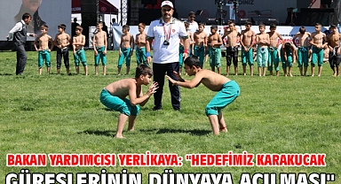 Bakan Yardımcısı Yerlikaya: 