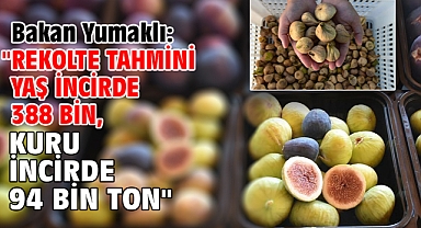 Bakan Yumaklı: