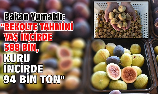 Bakan Yumaklı:
