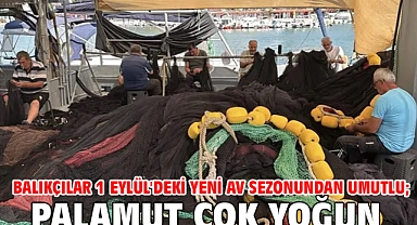 Balıkçılar 1 Eylül'deki yeni av sezonundan umutlu; palamut çok yoğun