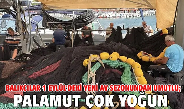 Balıkçılar 1 Eylül'deki yeni av sezonundan umutlu; palamut çok yoğun