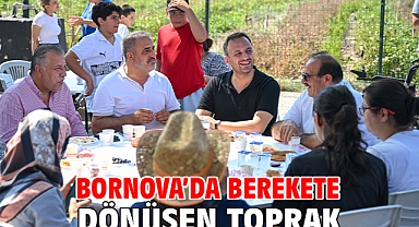 Bornova’da berekete dönüşen toprak