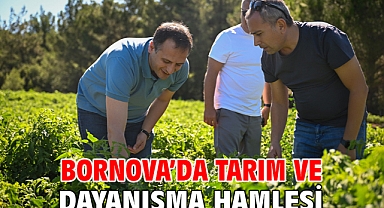 Bornova’da tarım ve dayanışma hamlesi