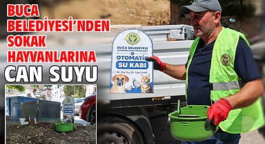 Buca Belediyesi’nden sokak hayvanlarına can suyu