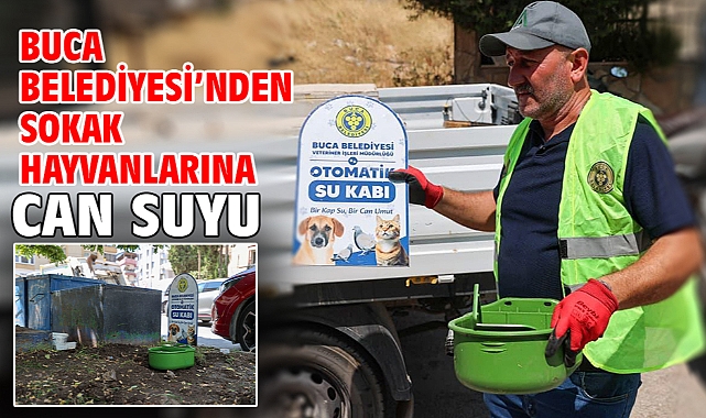 Buca Belediyesi’nden sokak hayvanlarına can suyu