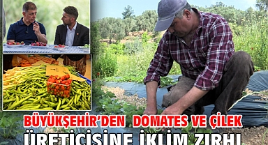 Büyükşehir’den domates ve çilek üreticisine iklim zırhı