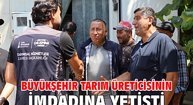 Büyükşehir tarım üreticisinin imdadına yetişti