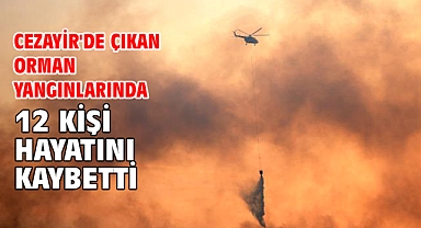 Cezayir'de çıkan orman yangınlarında 12 kişi hayatını kaybetti