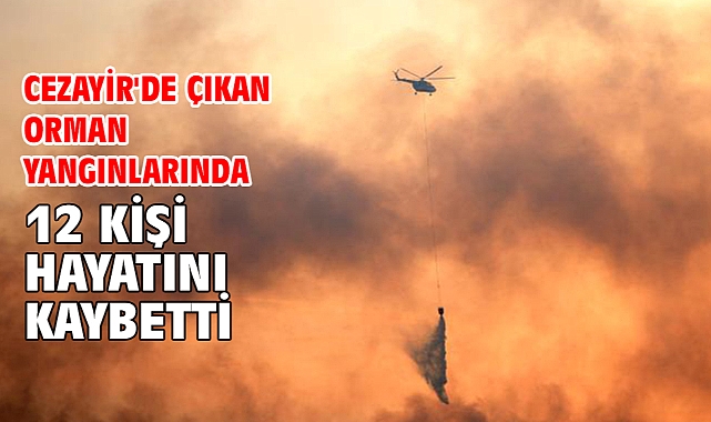 Cezayir'de çıkan orman yangınlarında 12 kişi hayatını kaybetti