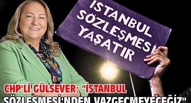CHP'li Gülsever: