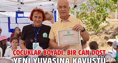 Çocuklar boyadı, bir can dost yeni yuvasına kavuştu
