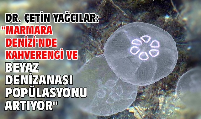 Dr. Çetin Yağcılar: