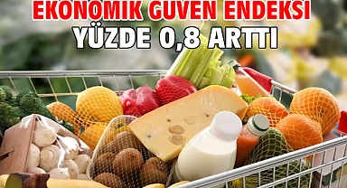 Ekonomik güven endeksi yüzde 0,8 arttı