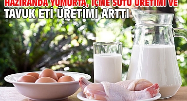 Haziranda yumurta, içme sütü üretimi ve tavuk eti üretimi arttı
