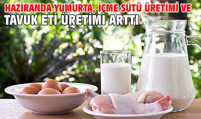 Haziranda yumurta, içme sütü üretimi ve tavuk eti üretimi arttı