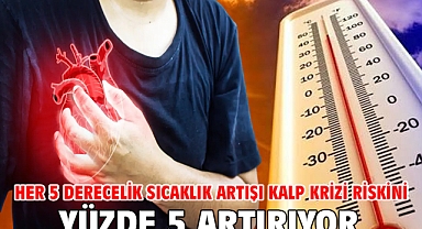 Her 5 Derecelik Sıcaklık Artışı Kalp Krizi Riskini Yüzde 5 Artırıyor!