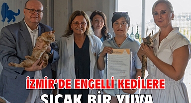 İzmir’de engelli kedilere sıcak bir yuva