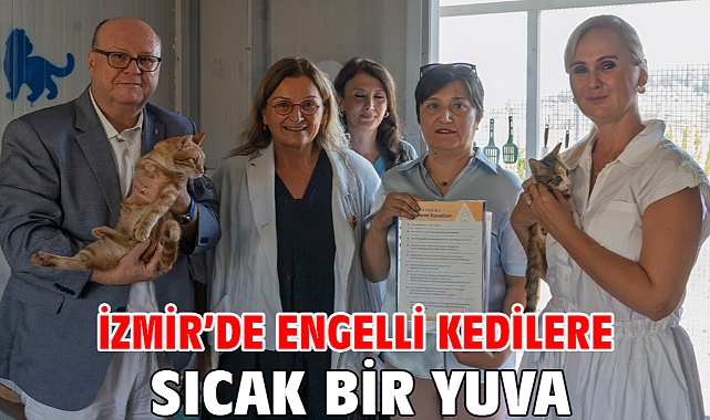 İzmir’de engelli kedilere sıcak bir yuva