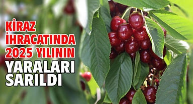 Kiraz ihracatında 2025 yılının yaraları sarıldı