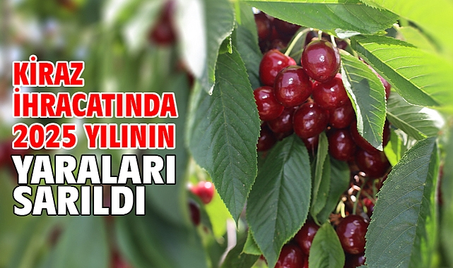 Kiraz ihracatında 2025 yılının yaraları sarıldı