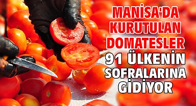 Manisa'da kurutulan domatesler 91 ülkenin sofralarına gidiyor