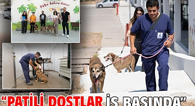 “Patili Dostlar İş Başında”
