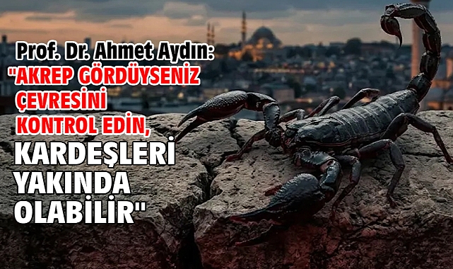 Prof. Dr. Ahmet Aydın: