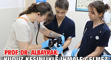 Prof. Dr. Albayrak: