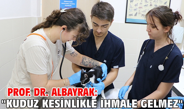 Prof. Dr. Albayrak: