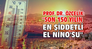 Prof. Dr. Özçelik: