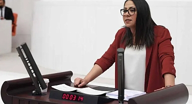 Sera Kadıgil hakkında Cumhurbaşkanına hakaretten soruşturma başlatıldı