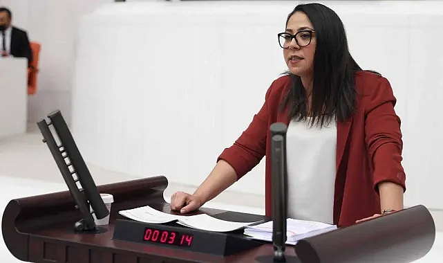 Sera Kadıgil hakkında Cumhurbaşkanına hakaretten soruşturma başlatıldı