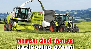 Tarımsal girdi fiyatları haziranda azaldı