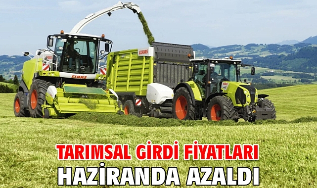 Tarımsal girdi fiyatları haziranda azaldı
