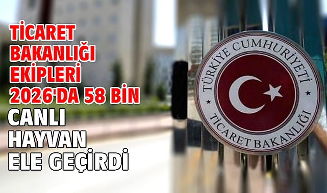 Ticaret Bakanlığı ekipleri 2026'da 58 bin canlı hayvan ele geçirdi