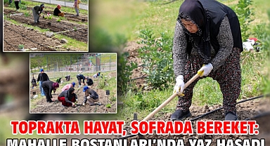 Toprakta hayat, sofrada bereket: Mahalle Bostanları’nda yaz hasadı