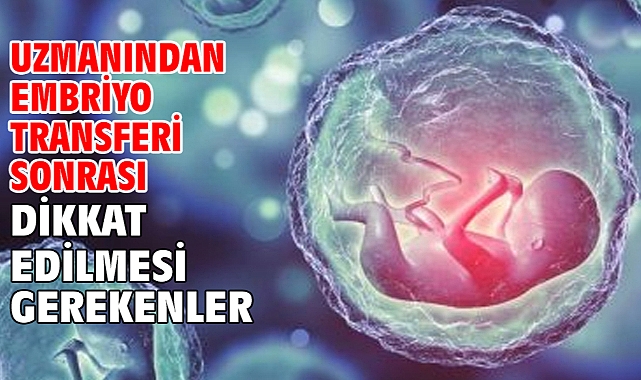 Uzmanından embriyo transferi sonrası dikkat edilmesi gerekenler