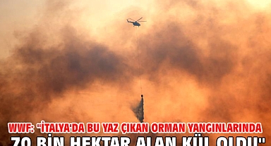WWF: