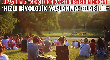 Araştırma: