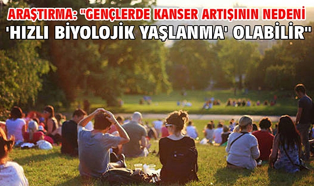 Araştırma: