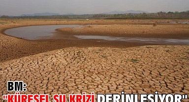 BM: