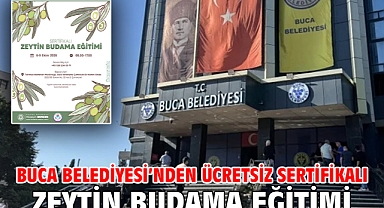 Buca Belediyesi’nden ücretsiz sertifikalı zeytin budama eğitimi