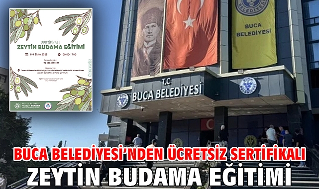 Buca Belediyesi’nden ücretsiz sertifikalı zeytin budama eğitimi