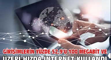 Girişimlerin yüzde 52,9'u 100 megabit ve üzeri hızda internet kullandı