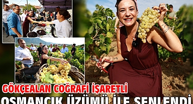Gökçealan Coğrafi İşaretli Osmancık Üzümü İle Şenlendi