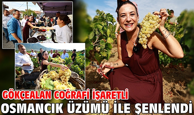 Gökçealan Coğrafi İşaretli Osmancık Üzümü İle Şenlendi